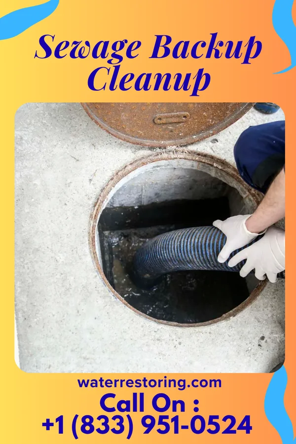 Sewage Backup Cleanup in Alvord, TX